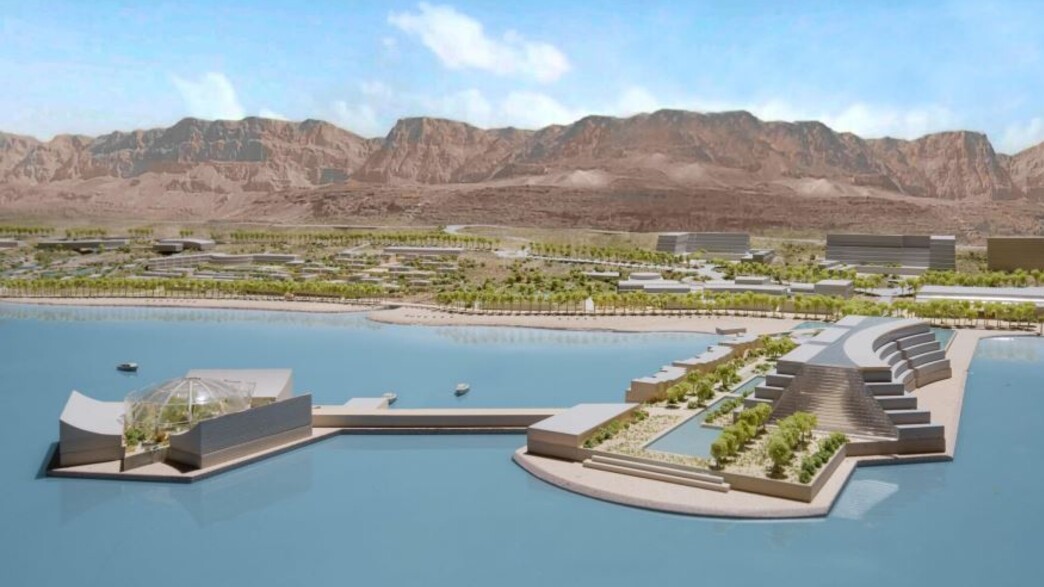 רונן מרדכי גרין | יועץ אסטרטגי לפיתוח כלכלי ועסקי